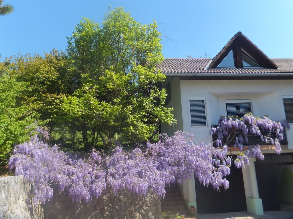 Apartments Jaka Dolenjske Toplice Zewnętrze zdjęcie